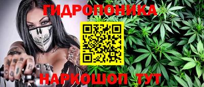 винт Тара