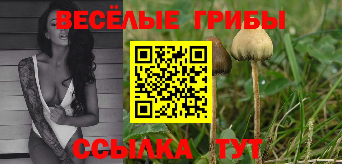 Гагарин  Псилоцибиновые грибы мицелий  Вход с VPN  Псилоцибиновые грибы Cubensis 